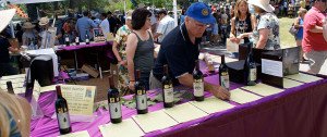Silent Auction - Ojai Wine Festival